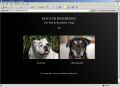 Dogs In Residence