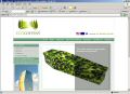 Eco Coffins