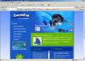 Swimfin